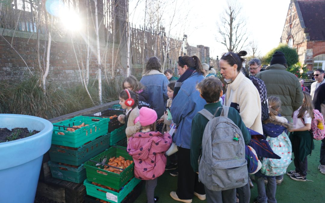 Primary School Community Pantry provides Vital Food Support for Families